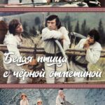 Белая Птица с Черной Отметиной Постер Фильмы к 9 Маю про Войну